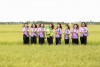 Gạo hữu cơ Quảng Trị - Có chất quý và đắt hơn vàng 30.000 lần