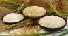 Tỉnh Quảng Trị cấp quyết định chủ trương đầu tư dự án Nhà máy xay xát gạo và công trình phụ trợ