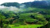 Viet Dung 185931105915 1
