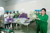Công ty Cao Dược liệu Định Sơn Mai Thị Thủy: Gìn giữ tinh hoa dược liệu, lan tỏa sức khỏe cộng đồng