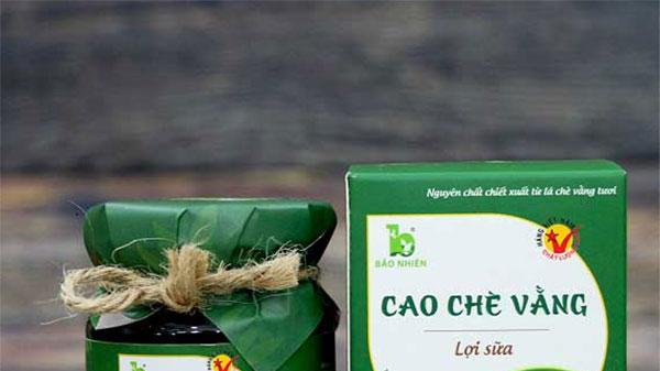 Cao chè vằng Quảng Trị